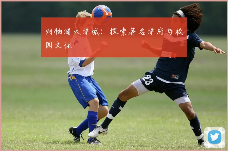 利物浦大学城:探索著名学府与校园文化